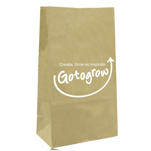 Stand Up Paper Merchandise Bag